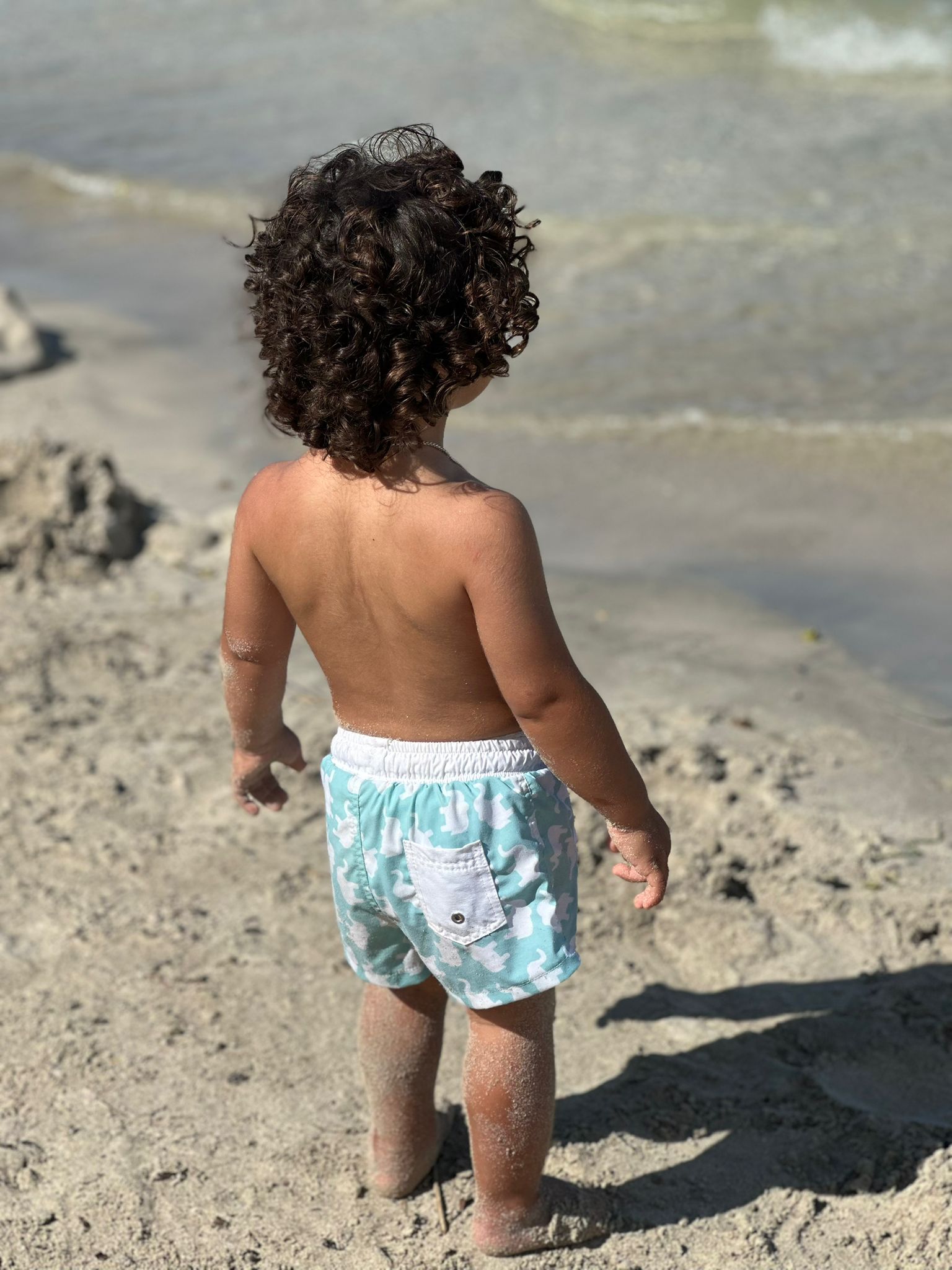 Elephant - Swim Shorts
